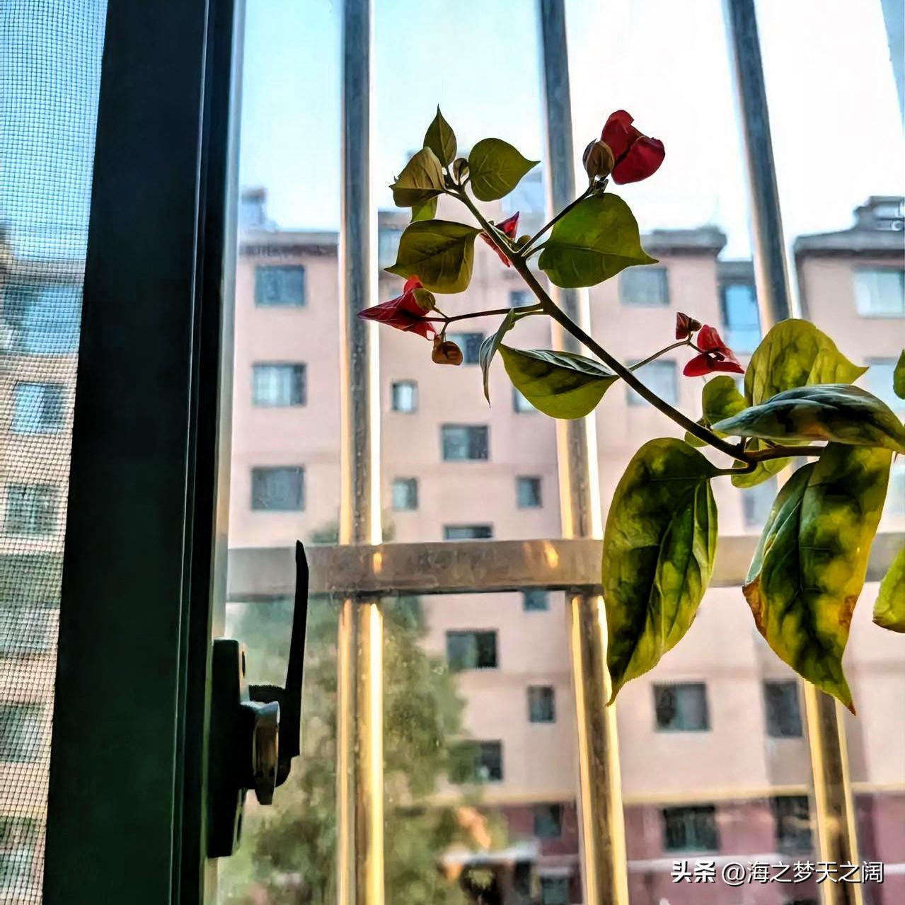 美好的时光一去不复返，享受属于自己的当下才是明智选择。