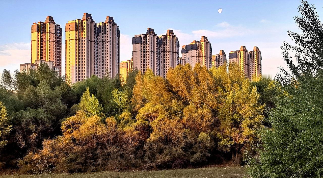 城市与自然的和谐共存，高楼林立间，绿树成荫。