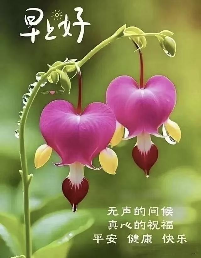 月很圆，
花很香，
祝你身体更健康；
鱼在游，
鸟在叫，
祝你天天哈哈笑；
手中