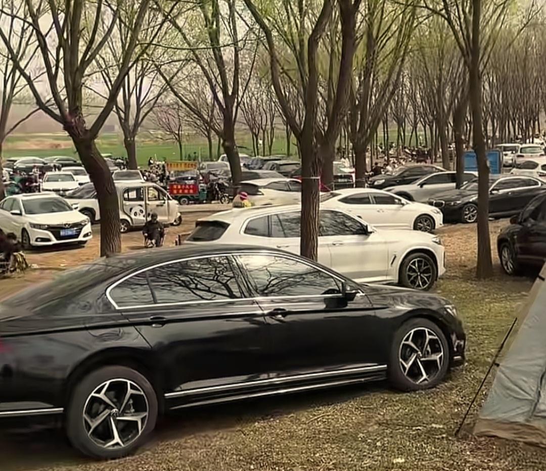 邹平黛溪河周边野炊要规矩了！
我今日看到邹平相关部门刚刚发布的黛溪河周边野炊规范