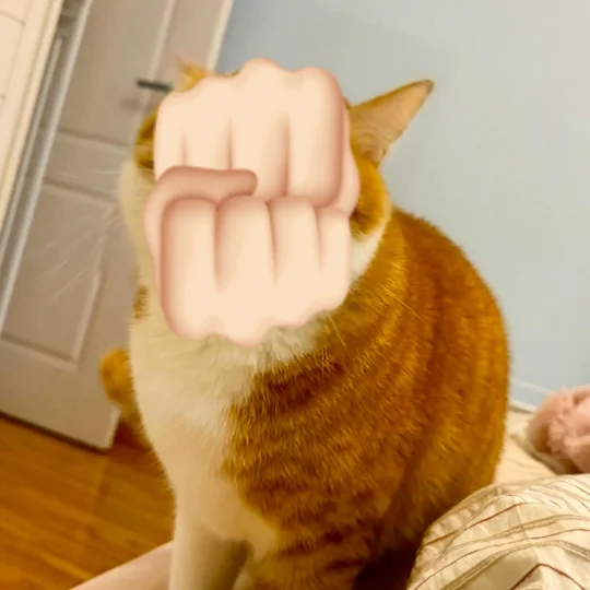 猜猜鹅似随