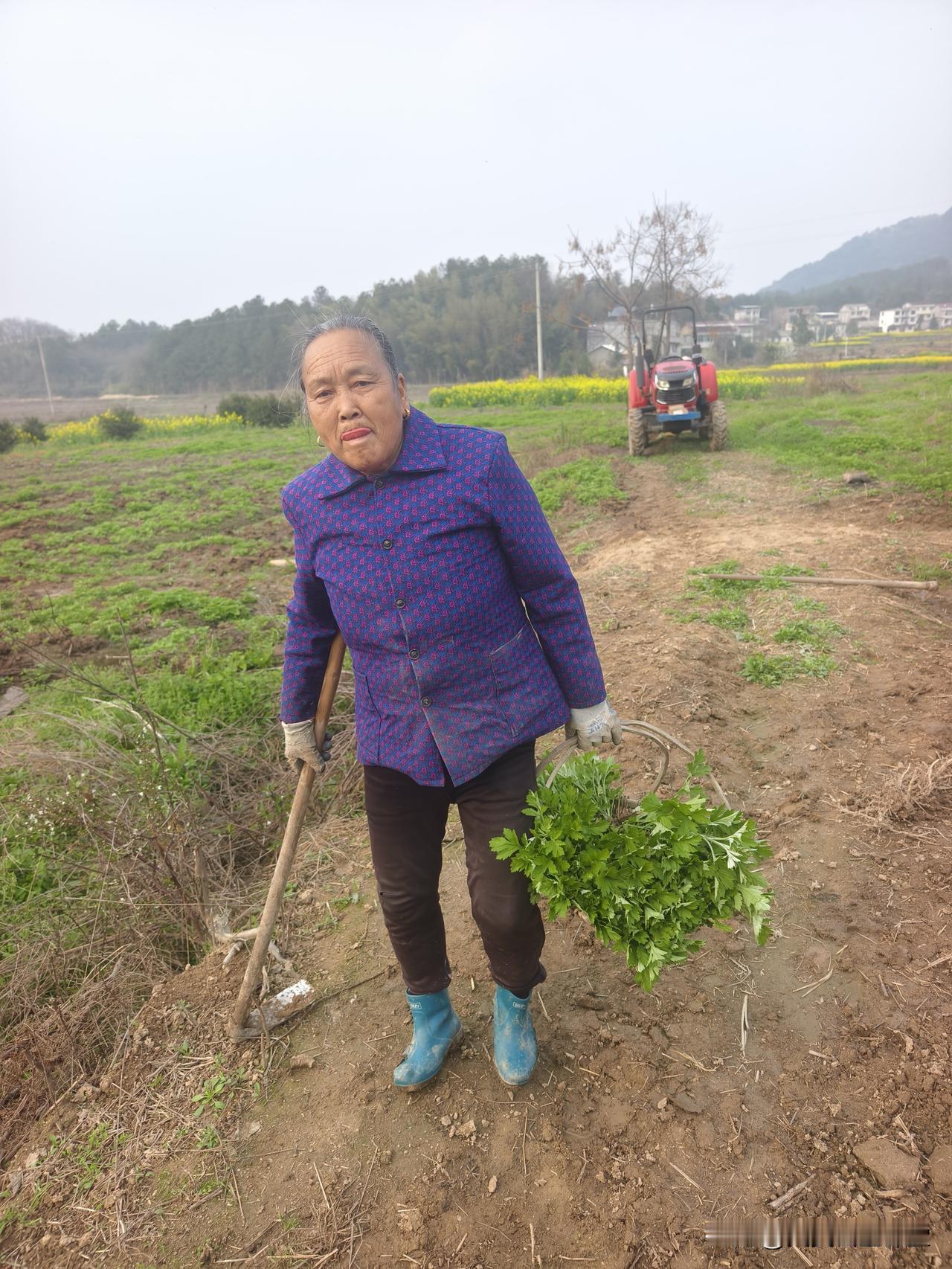 农村种地，100一天！
这个价格在农村来说也是非常高了！
如果农民在家里面自己种
