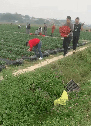 图一：够开心的啊，一会结账的时候可不要哭。
图二：海鸥：什么档次啊？随便拿点东西