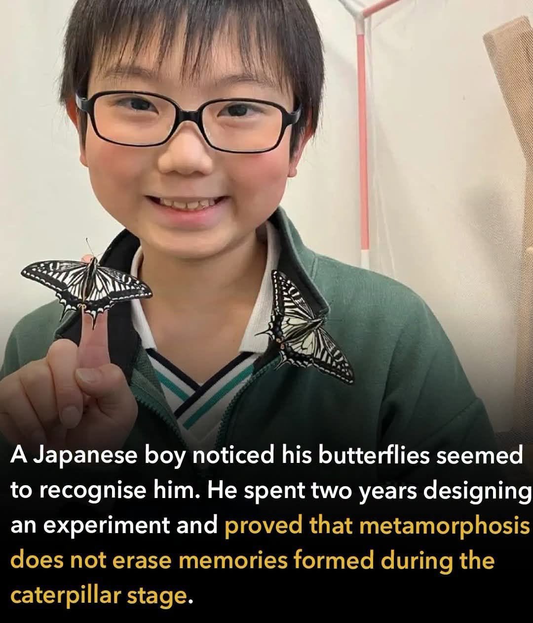 永井让（Jo）在幼儿园（或小学一年级）时在神户的家中用柑橘树叶喂养凤蝶幼虫。他发