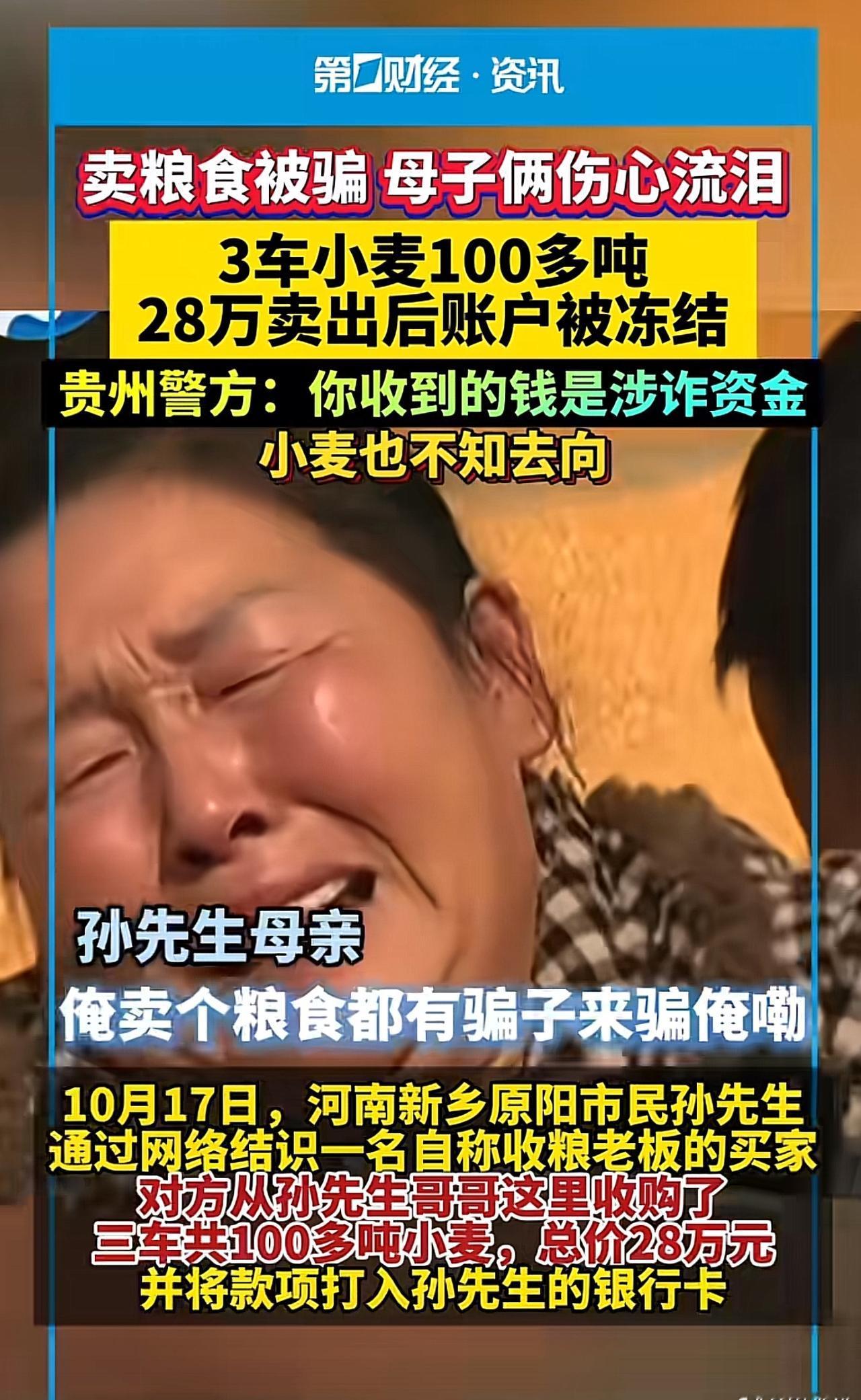 俺卖个粮食都有骗子来骗俺嘞！卖粮款28万秒冻结！贵州母子3车小麦被骗，得知真相当