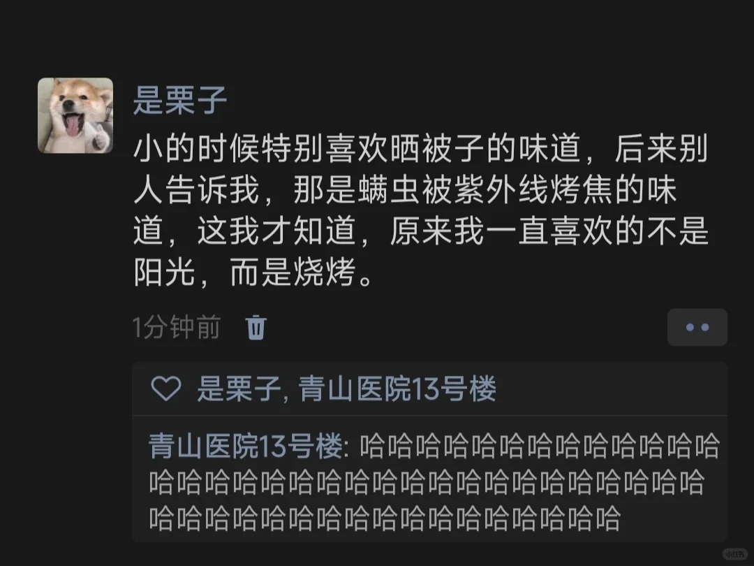 小的时候特别喜欢晒被子的味道