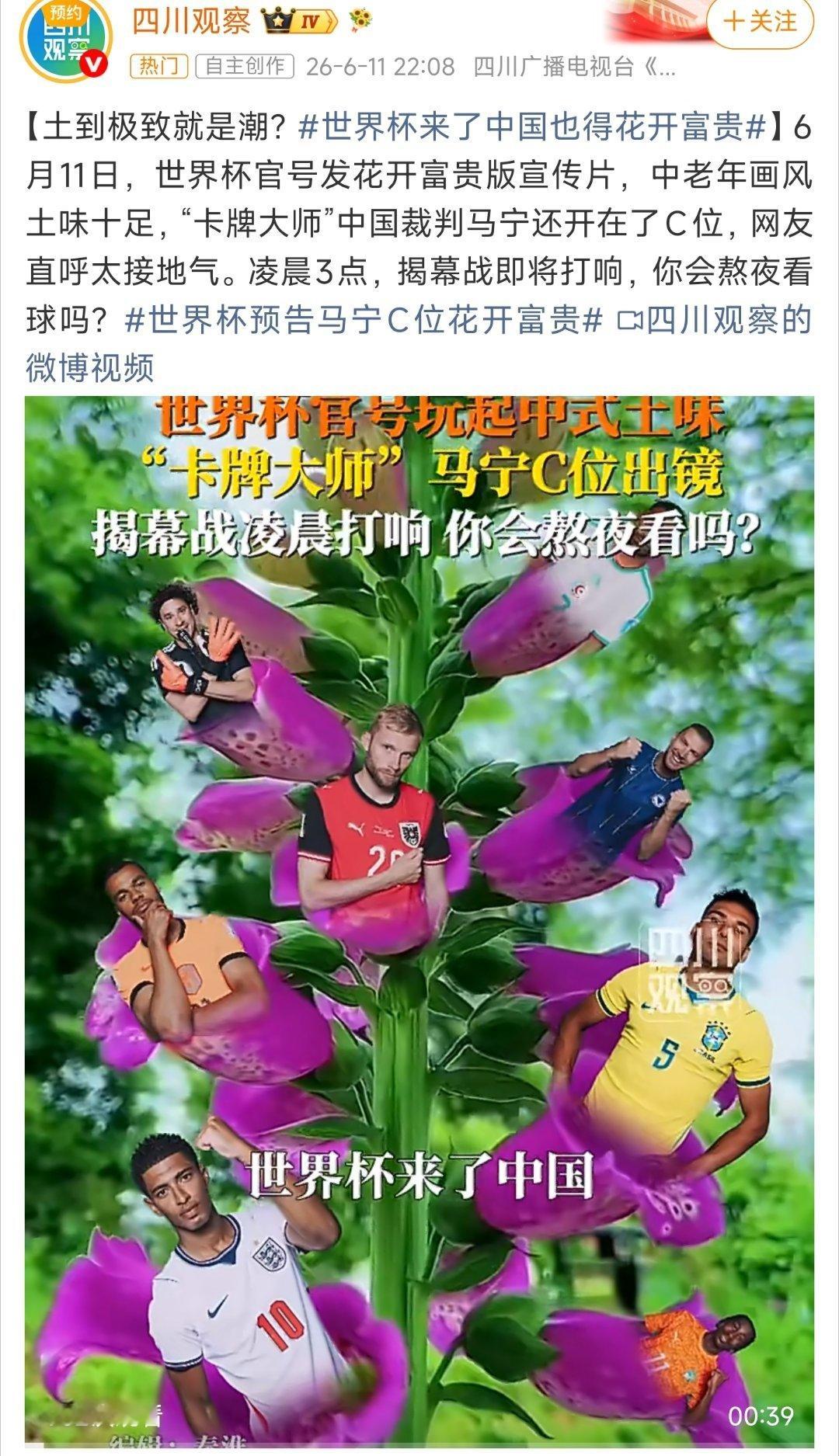世界杯来了中国也得花开富贵哈哈，我也用过这个特效，太搞笑了 