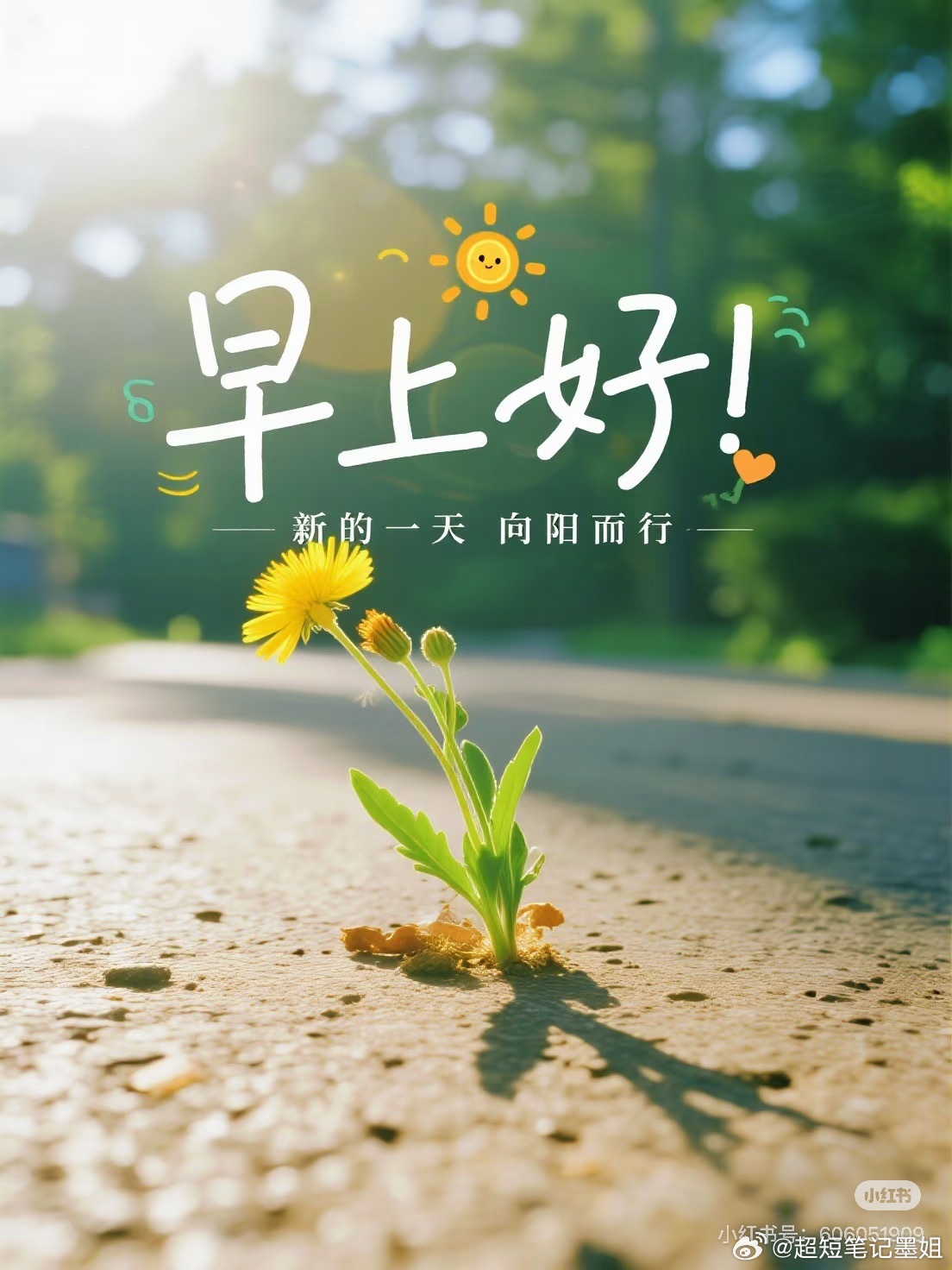 迎着晨光开工，愿本周行情顺顺利利，每一笔都有收获，早安～ 