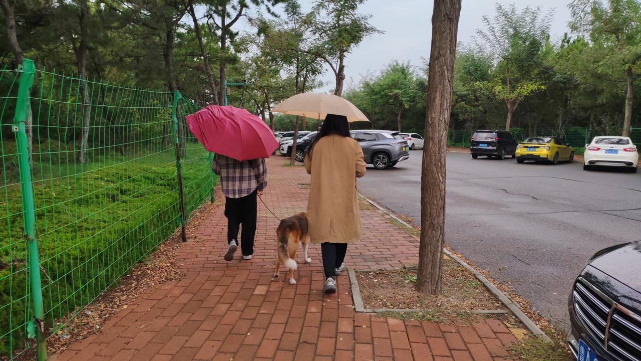 感觉国庆节放六天假就行了，剩余的两天休正常的周六日就行了。八天假表面上看是长了两