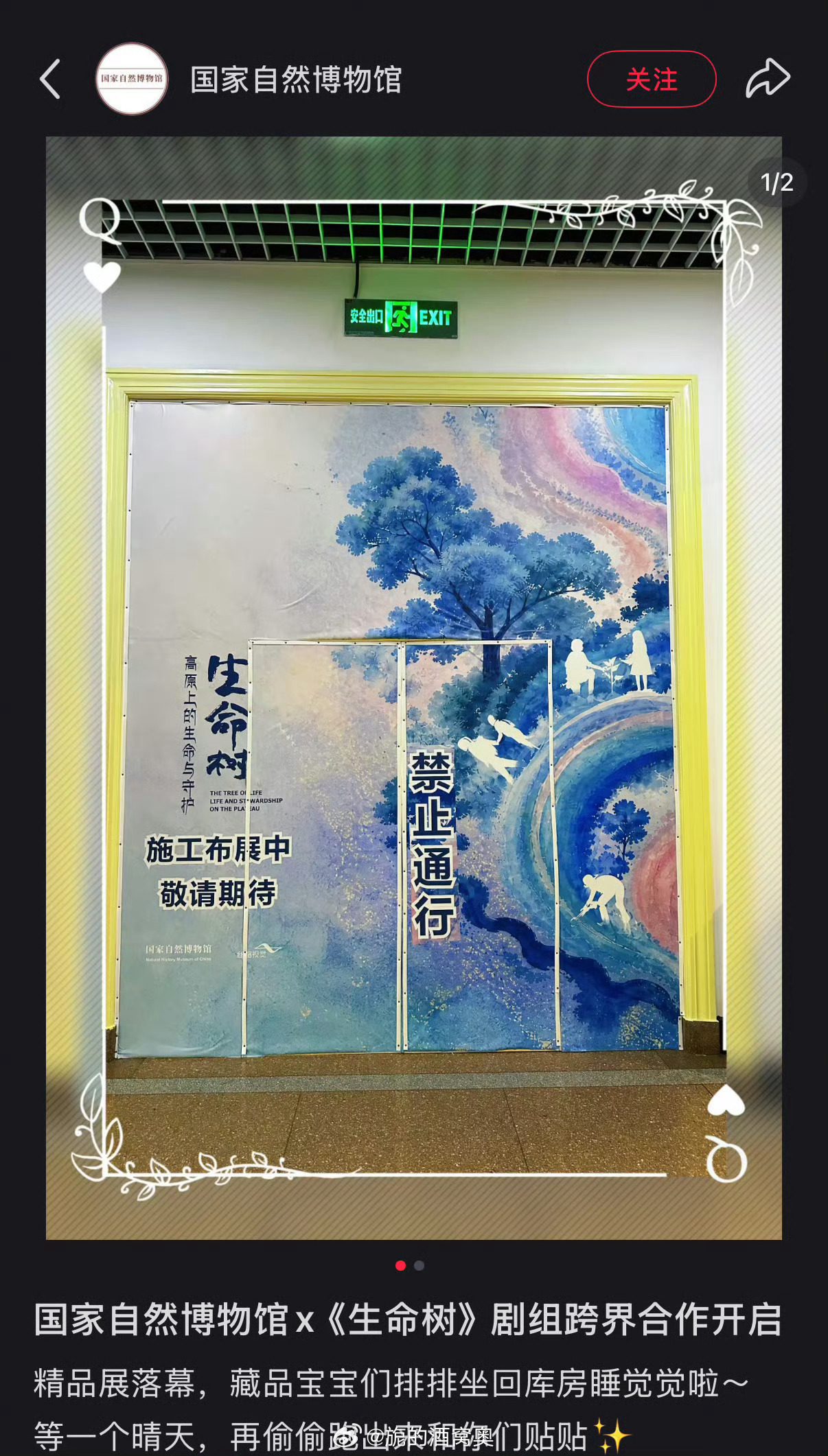 生命树和国家自然博物馆的跨界合作～
