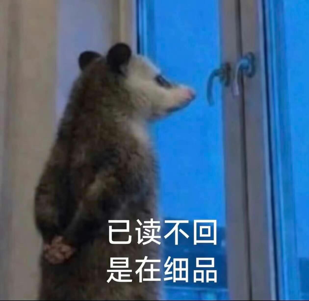 幸福到昨天结束了跟朵姐一块去吃饭，时不时的走神开始回味