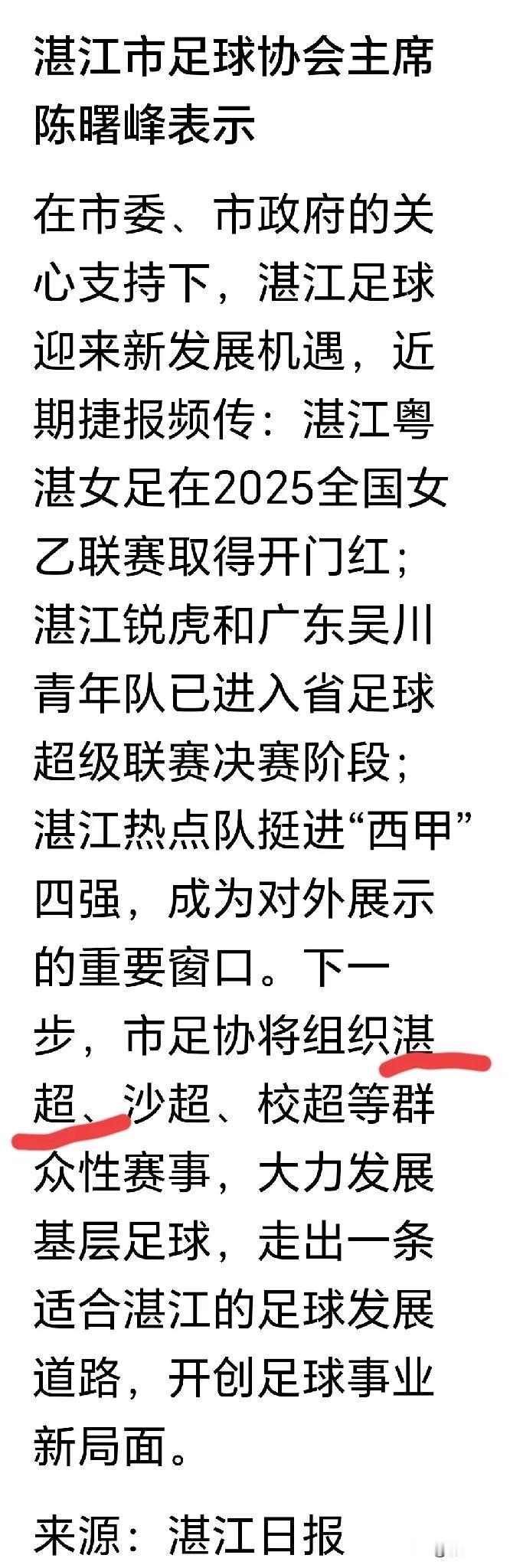 湛江足球协会主席说下一步湛江足球协将举办湛超联赛，不知道具体的方案确定了没有，作