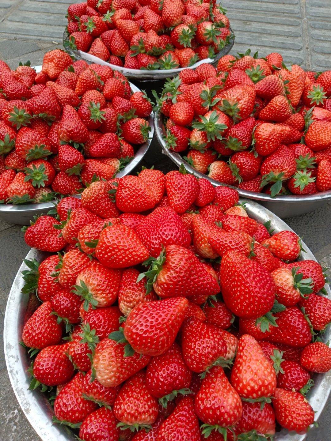 我依旧在等，等春暖花开，等硕果累累。明年国补继续，宽松举措继续，今天市场的担忧，