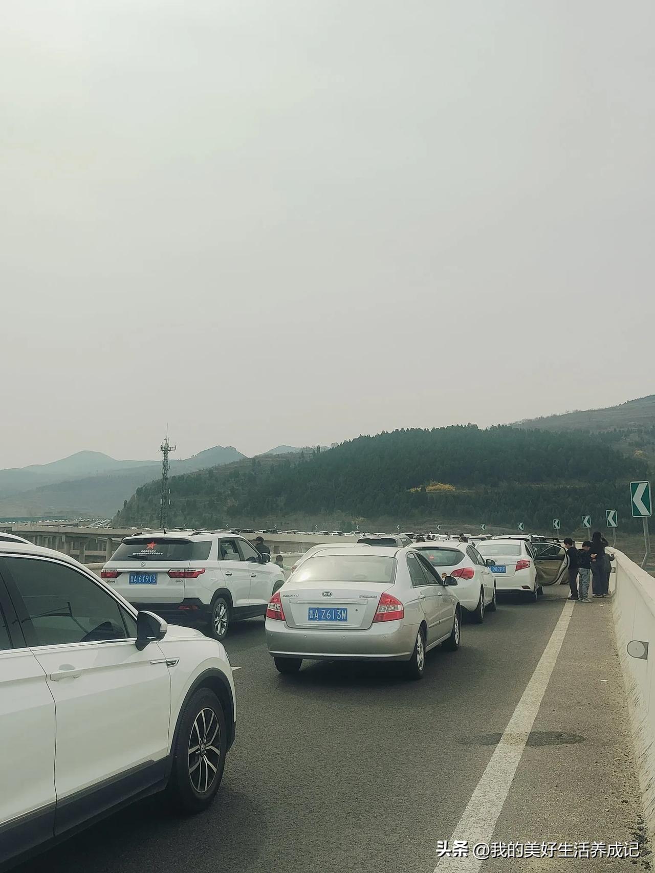 听假期第一天，小小泰山，轻松拿捏。
济南去泰安的路上堵车堵了很长时间，导致到了红