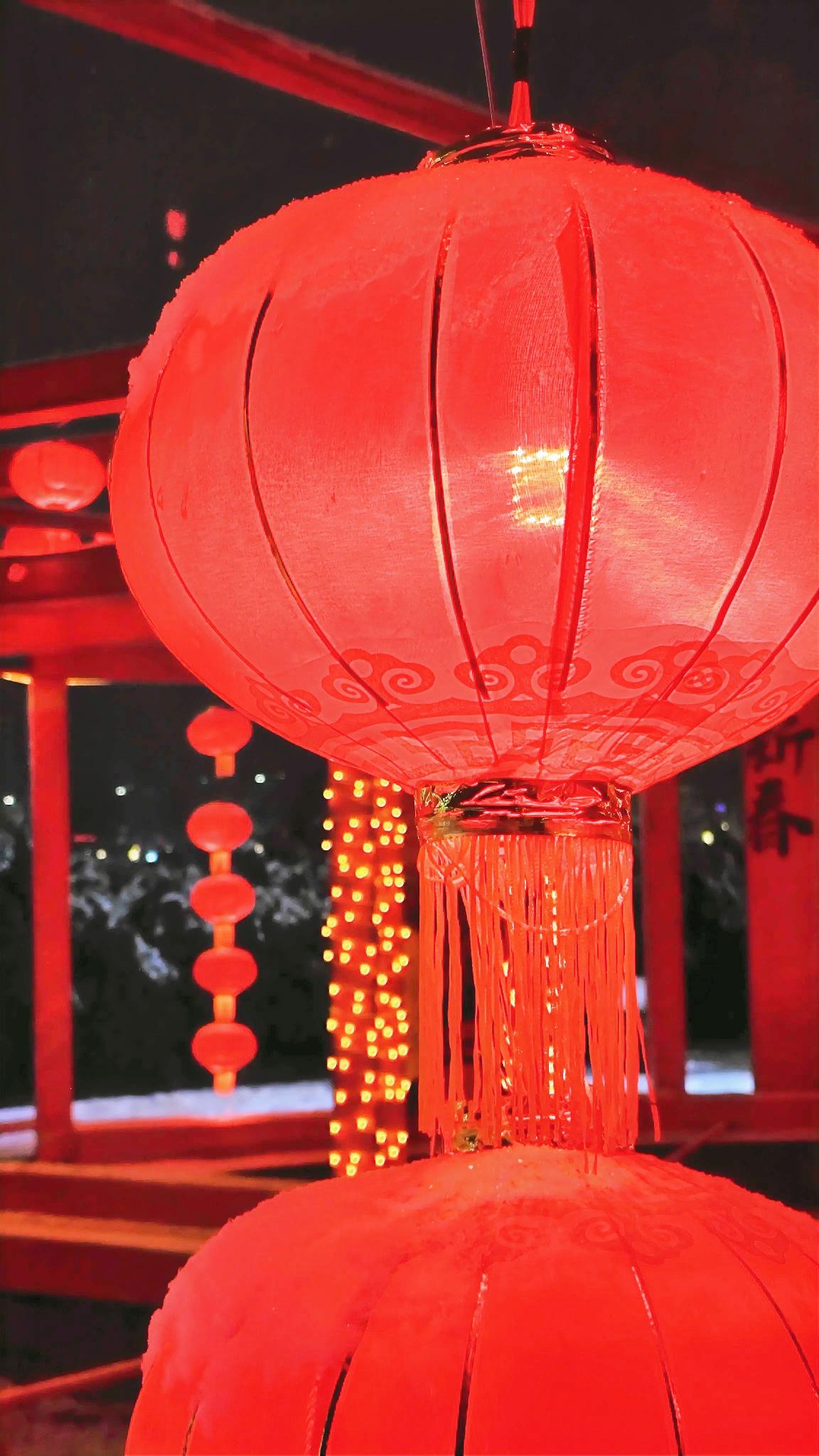 春风拂过窗棂时，我正俯身看着水培绿萝抽出的新根。透明的玻璃瓶里，嫩白的根须缠绕着