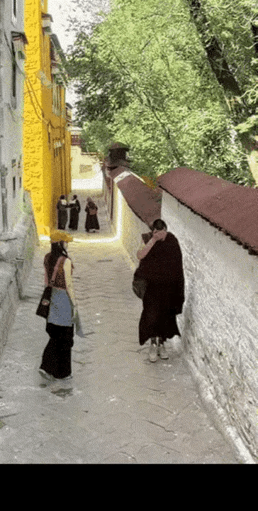 老和尚交代的“山下的女人是老虎，遇见了千万要躲开！”，这一刻具象化了！


小和