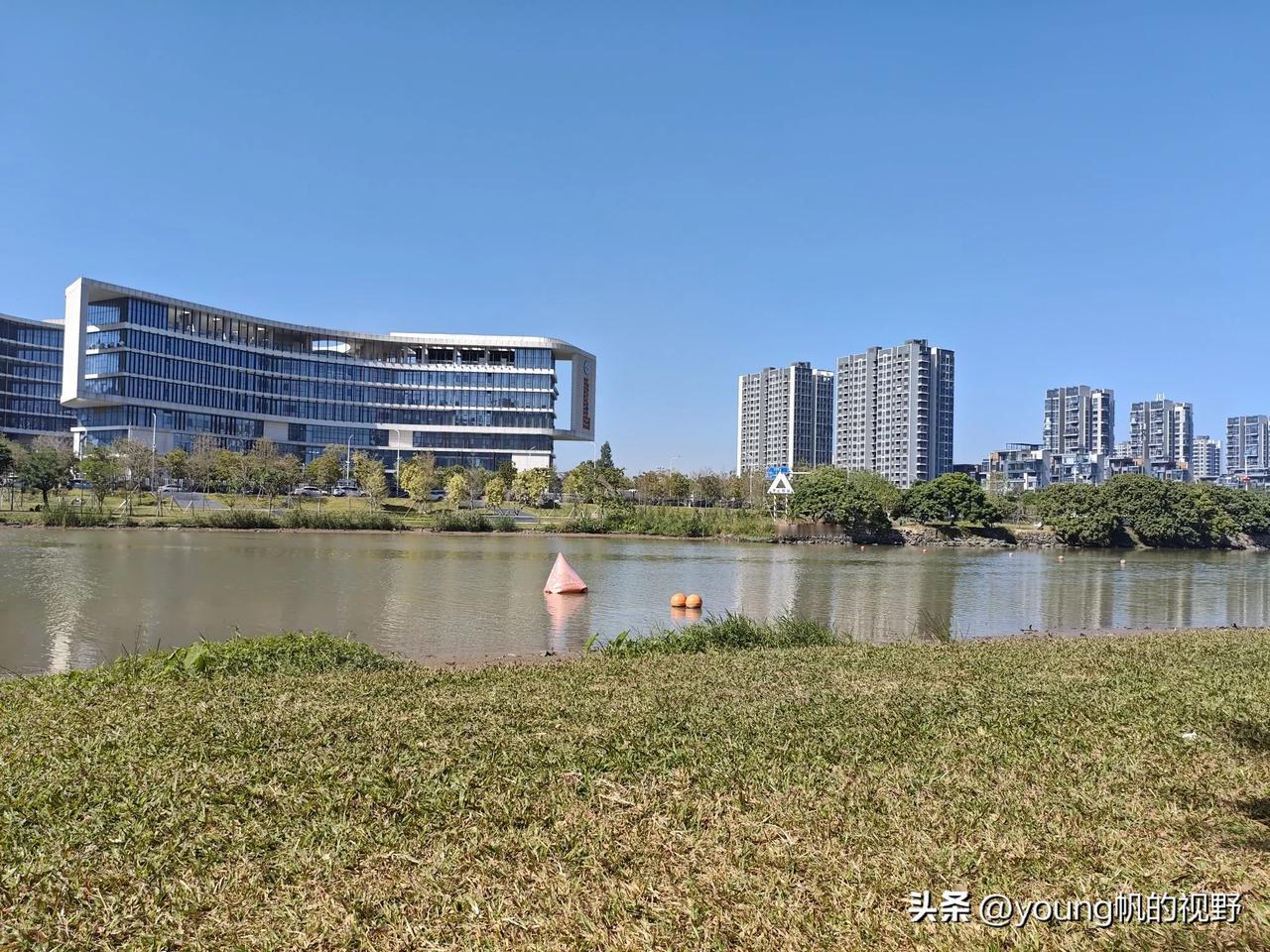 晒图笔记大赛南沙的蕉门河边，现在也成为了市民露营的好地方。