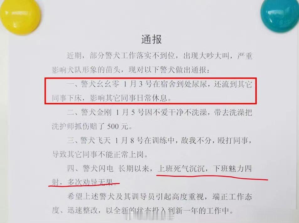 笑死了，警犬也会被通报的上班死气沉沉，下班魅力四射，多次劝导无果 