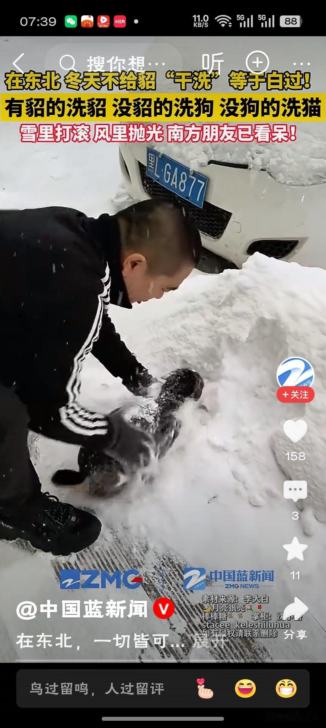 在东北一切皆可雪洗东北的雪，是最高效的“还原剂”——甭管沾染了油烟渍、泥点子还是