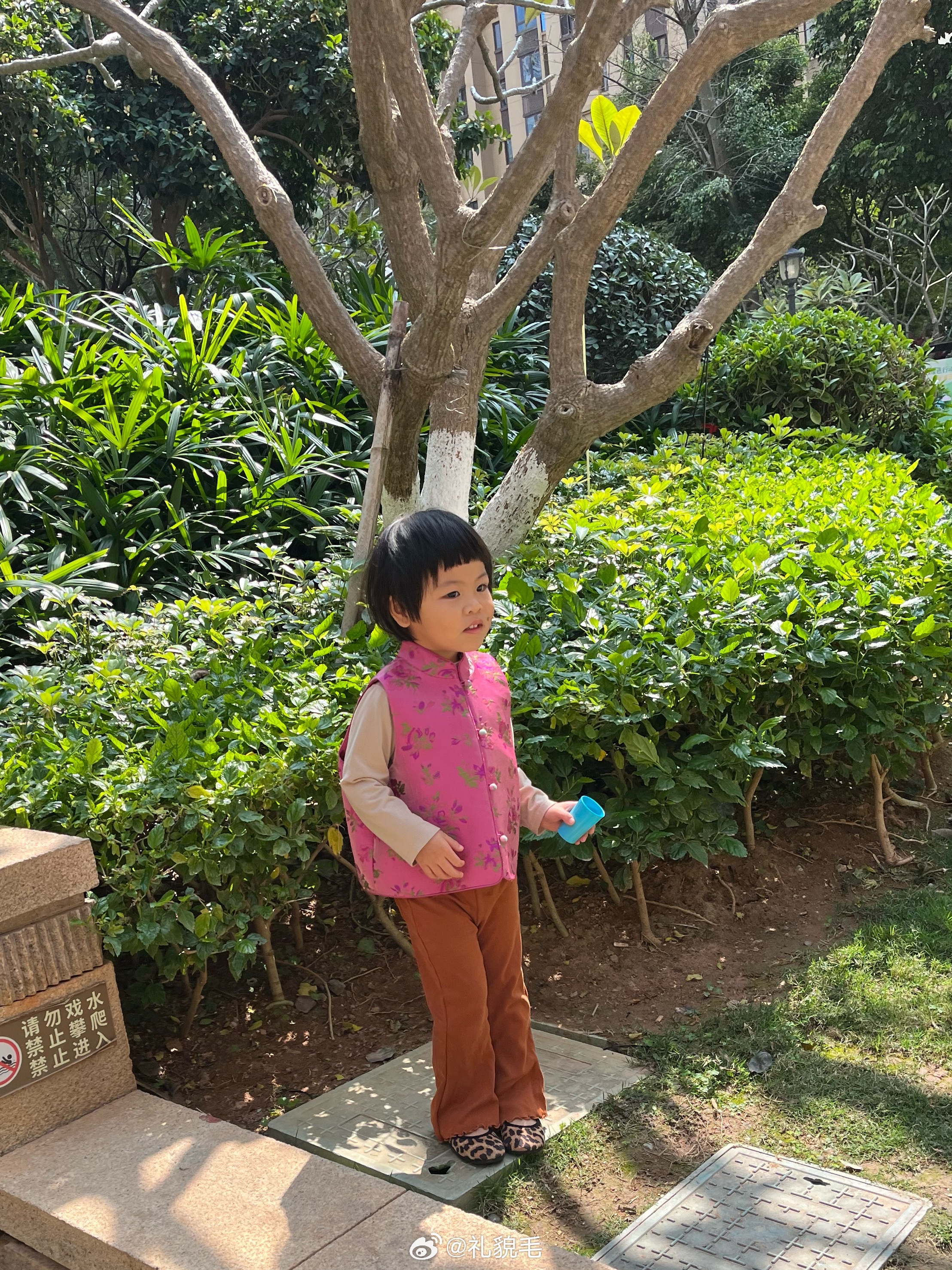 今日压压搭配，家人们觉得怎么样？压压本人很满意，左看右看说喜庆。 