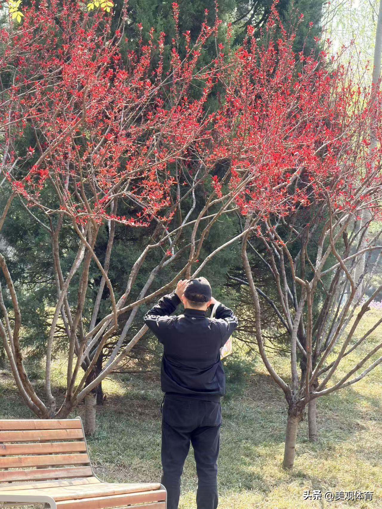 口袋公园采风记