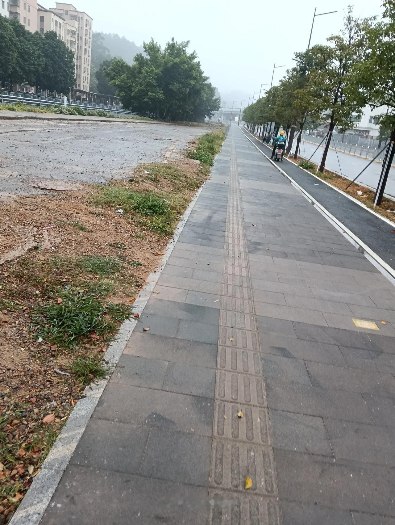 雨后清晨，独自漫步在空旷的街道上散步路遇的风景 久违的雨中散步 雨中的散步， 傍