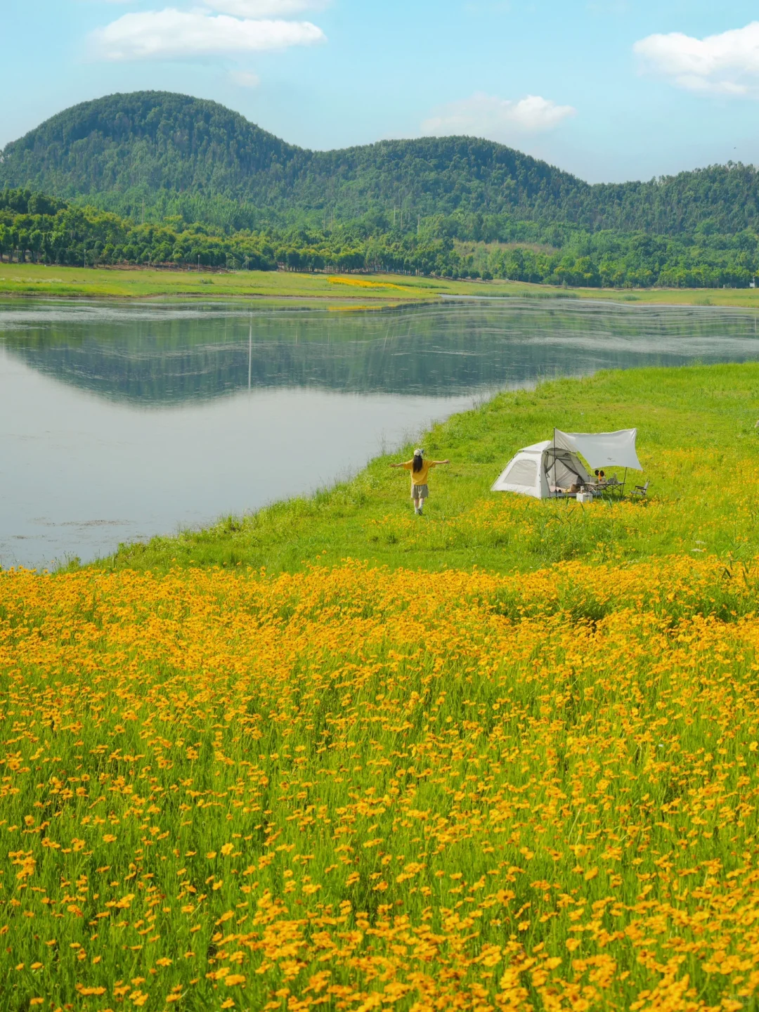 在武汉！开车直达的免费露营地🏕️太美了…