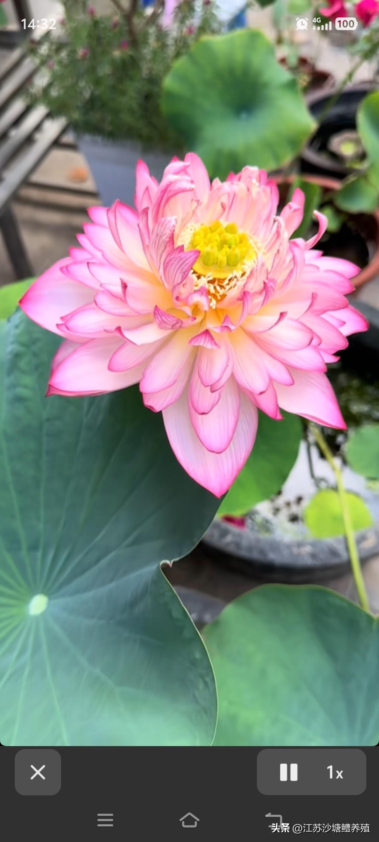 我的今日状态：😁轻松愉快
我这里的天气：☀️晴天