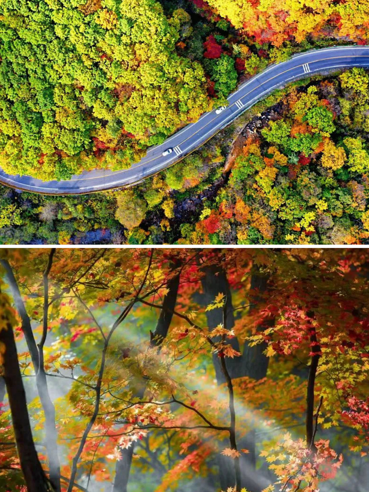 国庆赏秋自驾游，G331上的绝美秋色🍁🚗秋意渐浓，我踏上了一条难忘的旅程——