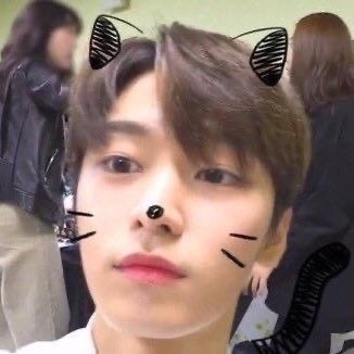 李柱延  宠物镜头Ver.🐈⬛ 