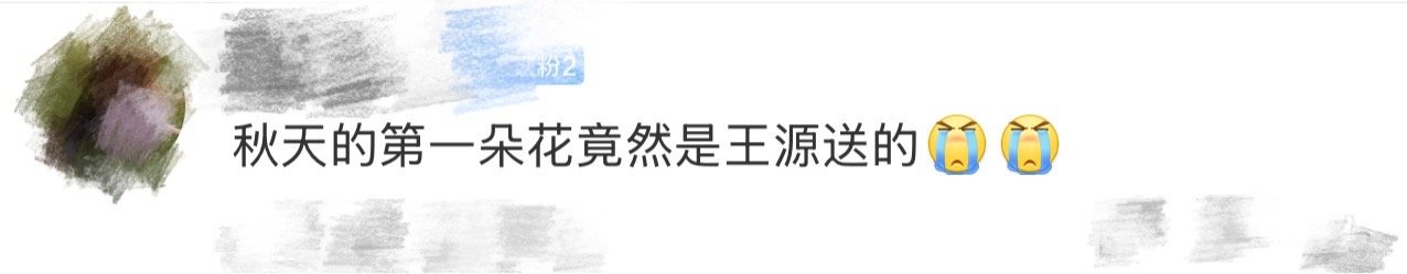 秋天的第一朵花是王源送的 被王源的五万朵玫瑰浪漫到了！太原演唱会上的这份惊喜，是