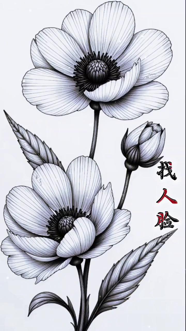 找人脸。
美丽的鲜花图中隐藏着三张人脸，大多数人可以找到一张，只有极少数的人能找