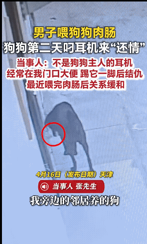 太好笑了！天津，领居家的狗狗经常跑到男子家门口拉粑粑，男子气不过踢了它一脚，从此