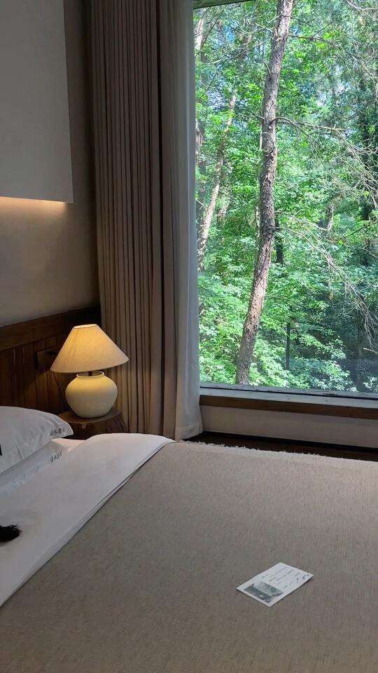 黄山! 人均500! 我住进了森林美学民宿
