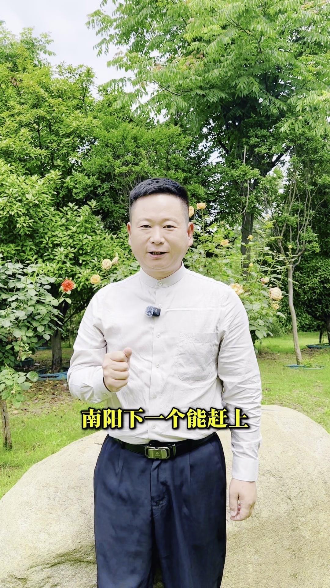 🗻南阳茶产业现状：2026年数据已达20亿+规模，18万亩种植面积，河南第二大