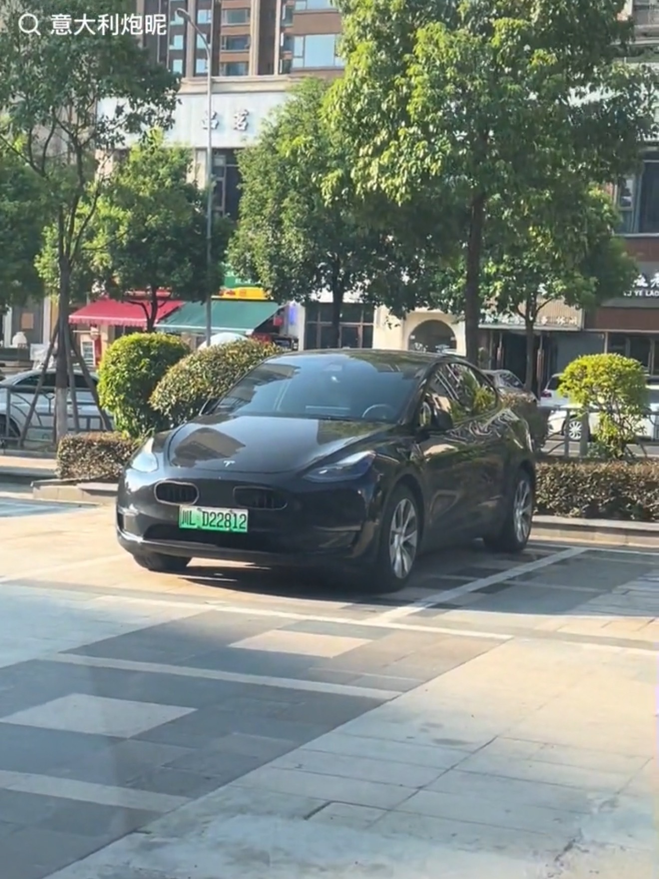 哈哈哈哈哈哈我靠，这个特斯拉，能不能不要这么离谱[二哈] ​​​