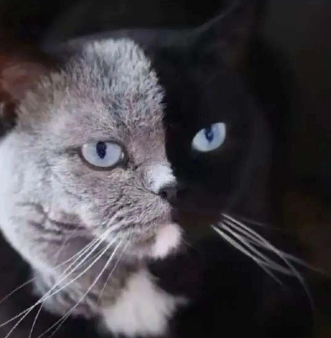 人是最宝贵的财富，是社会发展第一生产力。没人地球再美有何意义？有人才有社会，才有