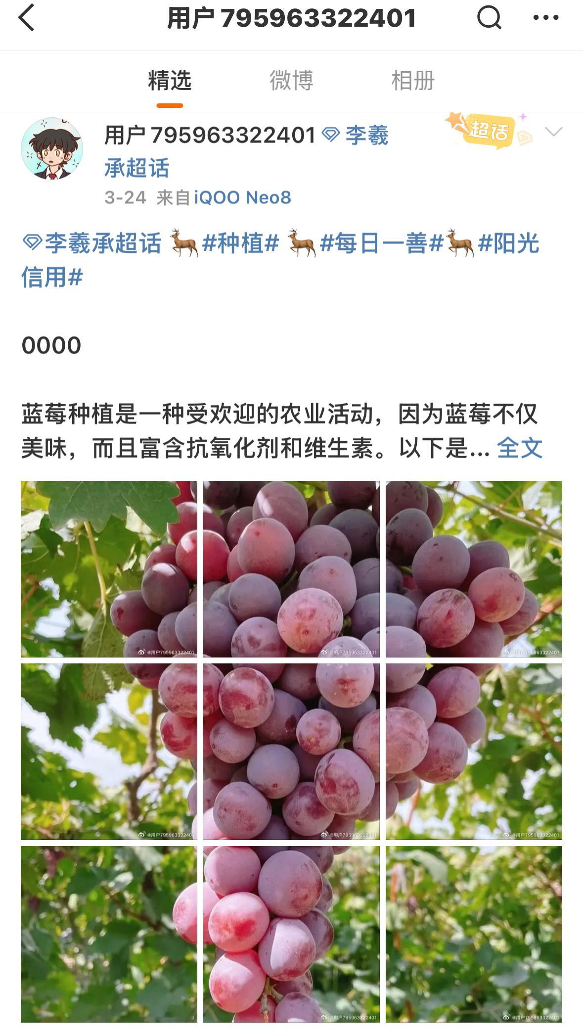 其实团粉也觉得烦啊 ​​​