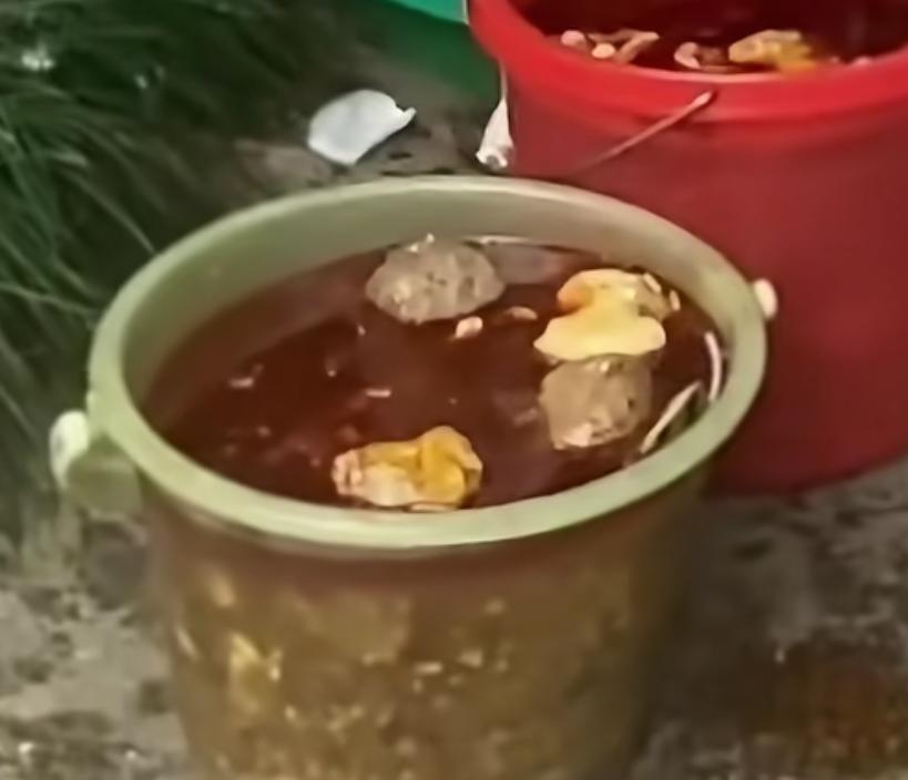 这样浪费免费斋饭真的不怕扣功德吗？

泸州天泉寺豆花饭因为好吃又免费，

引来很