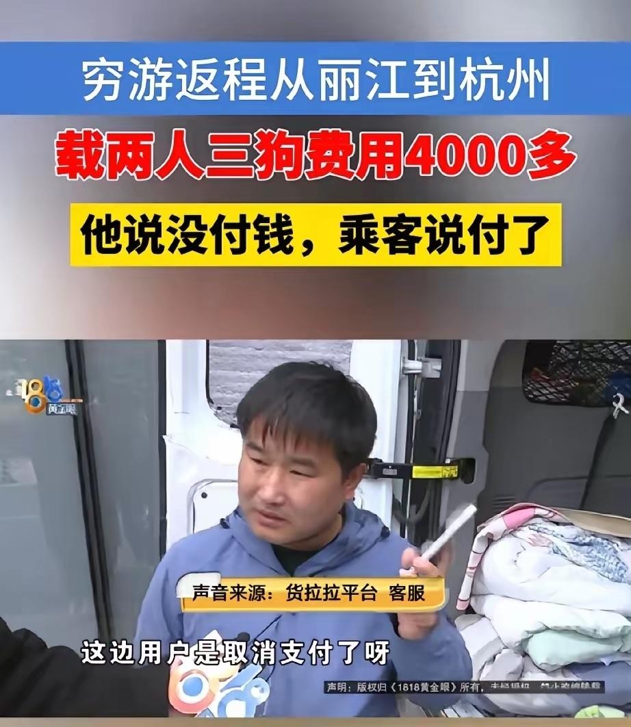 “想白嫖？”杭州司机送两名女子带三条大狗从丽江到杭州，开了两天两夜，4450元运