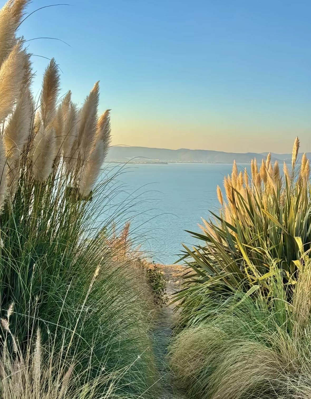 这海边的高草，真的很美～
昆明大湾山日落徒步攻略，在城市边缘邂逅绝美晚霞🌄
没