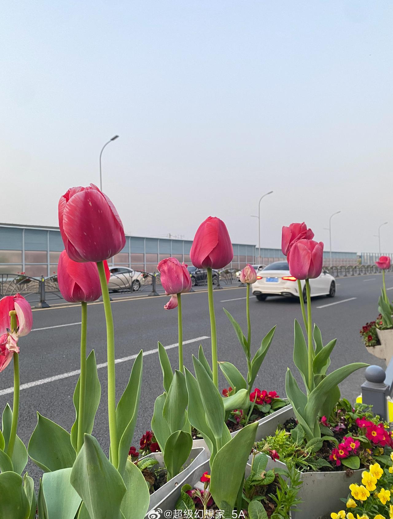 大昆山也是有温度的城市🏙️ ​​​