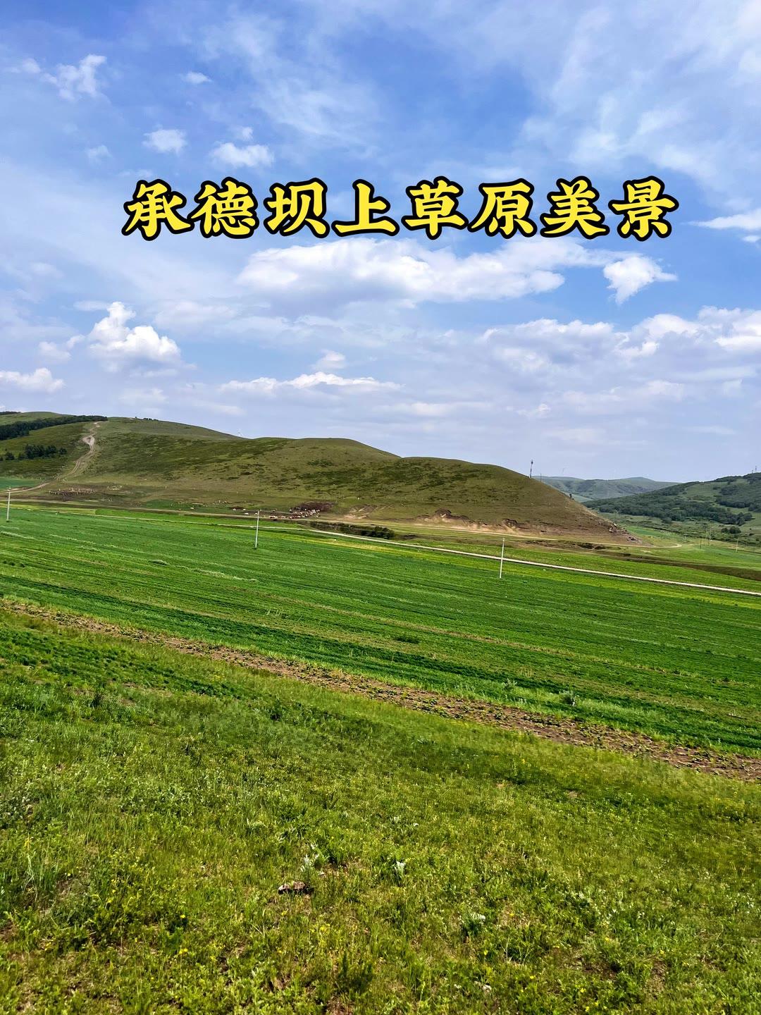 你觉得做家务能替代运动吗