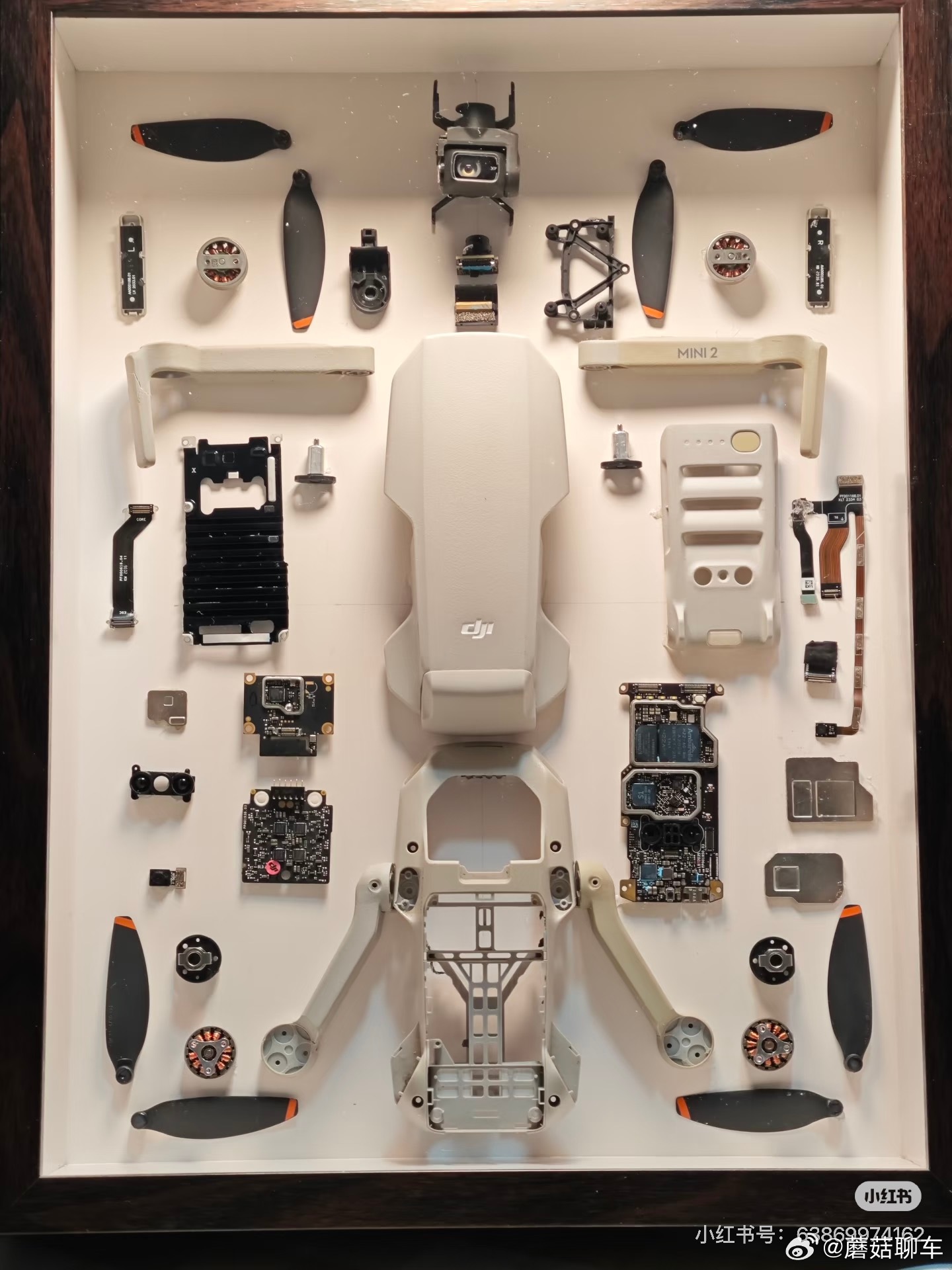 我觉得雷总可以试试右图这种感觉绝对很有意思～ 