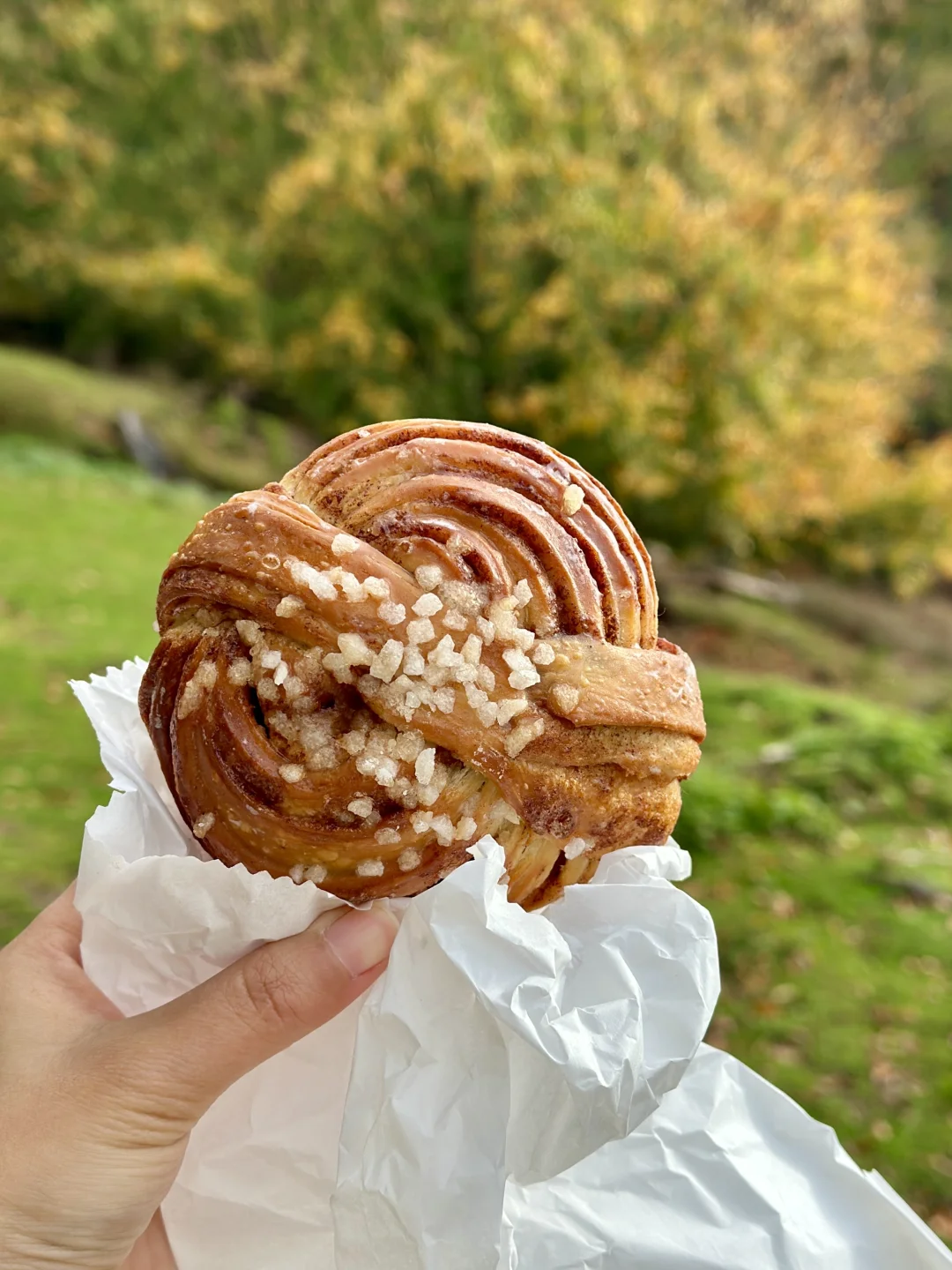 伦敦秋日糖分补给站，连去2周的心头好面包房