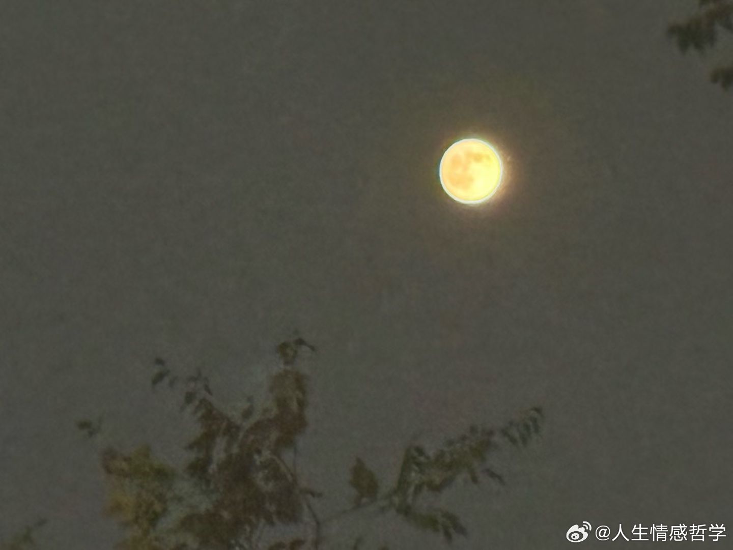 人性的丑陋就是：需要你的时候，笑脸相迎；不需要你的时候，转眼无影。 ​​​