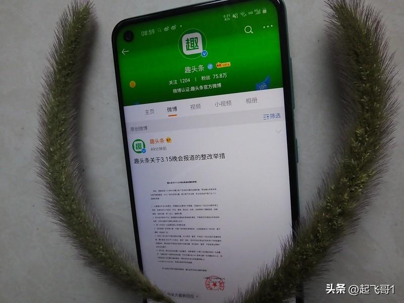 头条就是记录美好生活，有专业知识发表专业技能让更多人受益，没有专业技能的就把头条