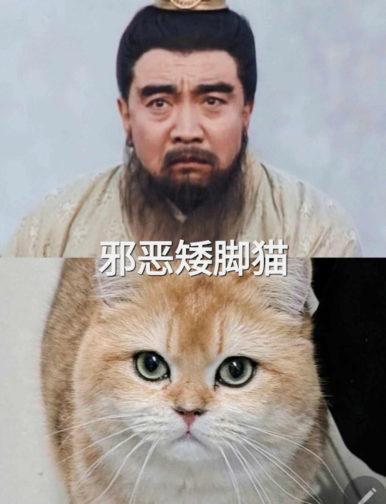 重温老三国才发现，全员都是行走的表情包天
真的没人跟我一样吗？每次重看94版老三