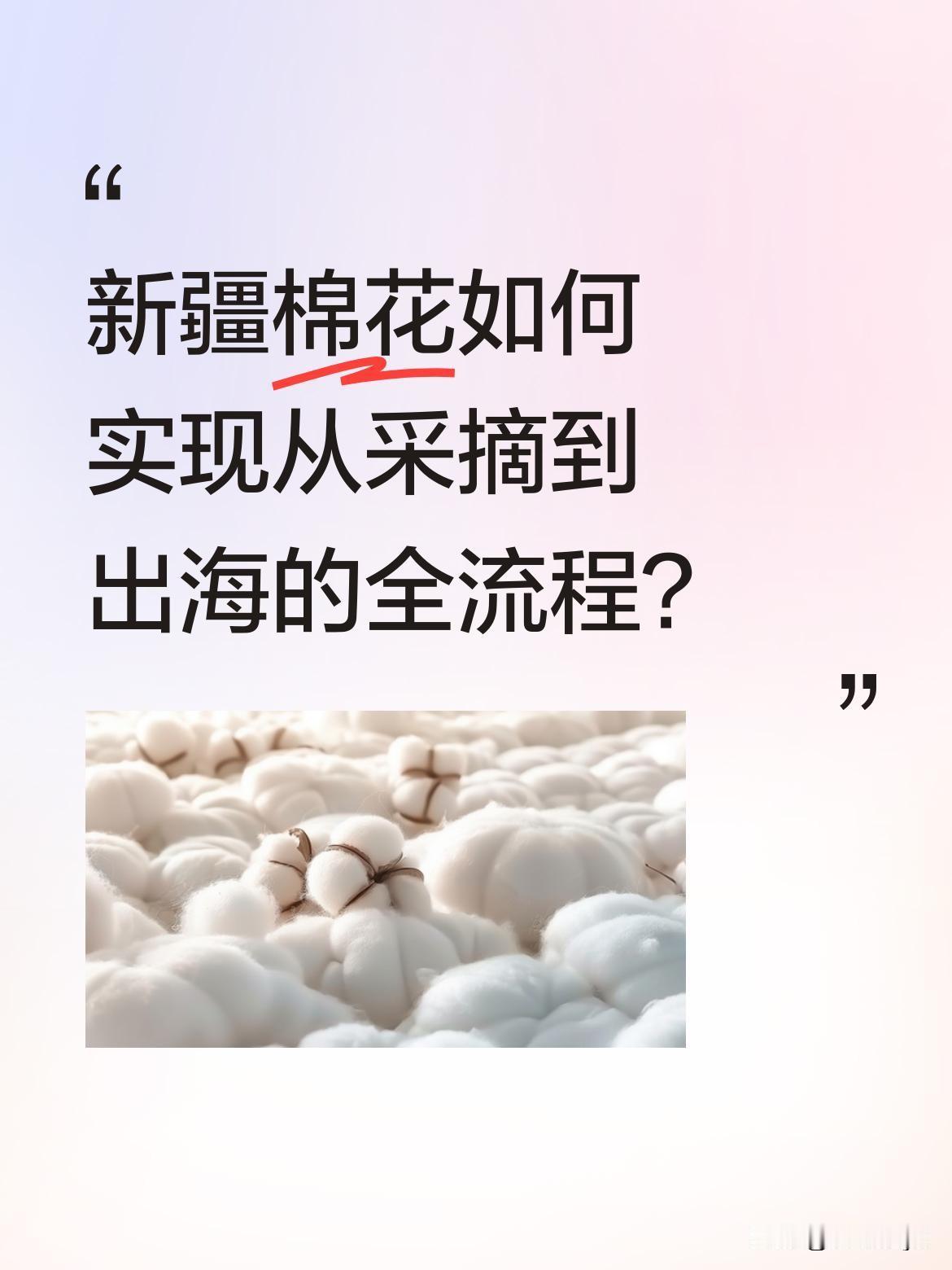 新疆棉花如何实现从采摘到出海的全流程？
传统卸棉方式已被现代工业取代：先由收割机