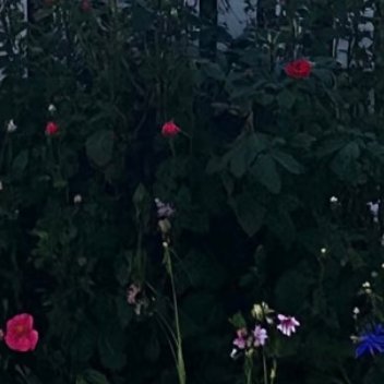 每日一善  每日一善   阳光信用 怀着对这个世界的好奇，与这个世界不断地碰撞，